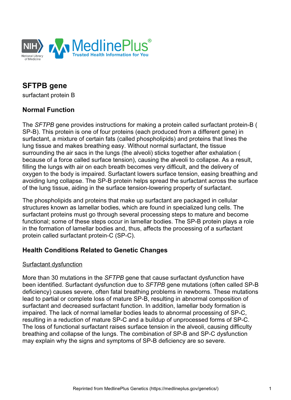 SFTPB Gene Surfactant Protein B