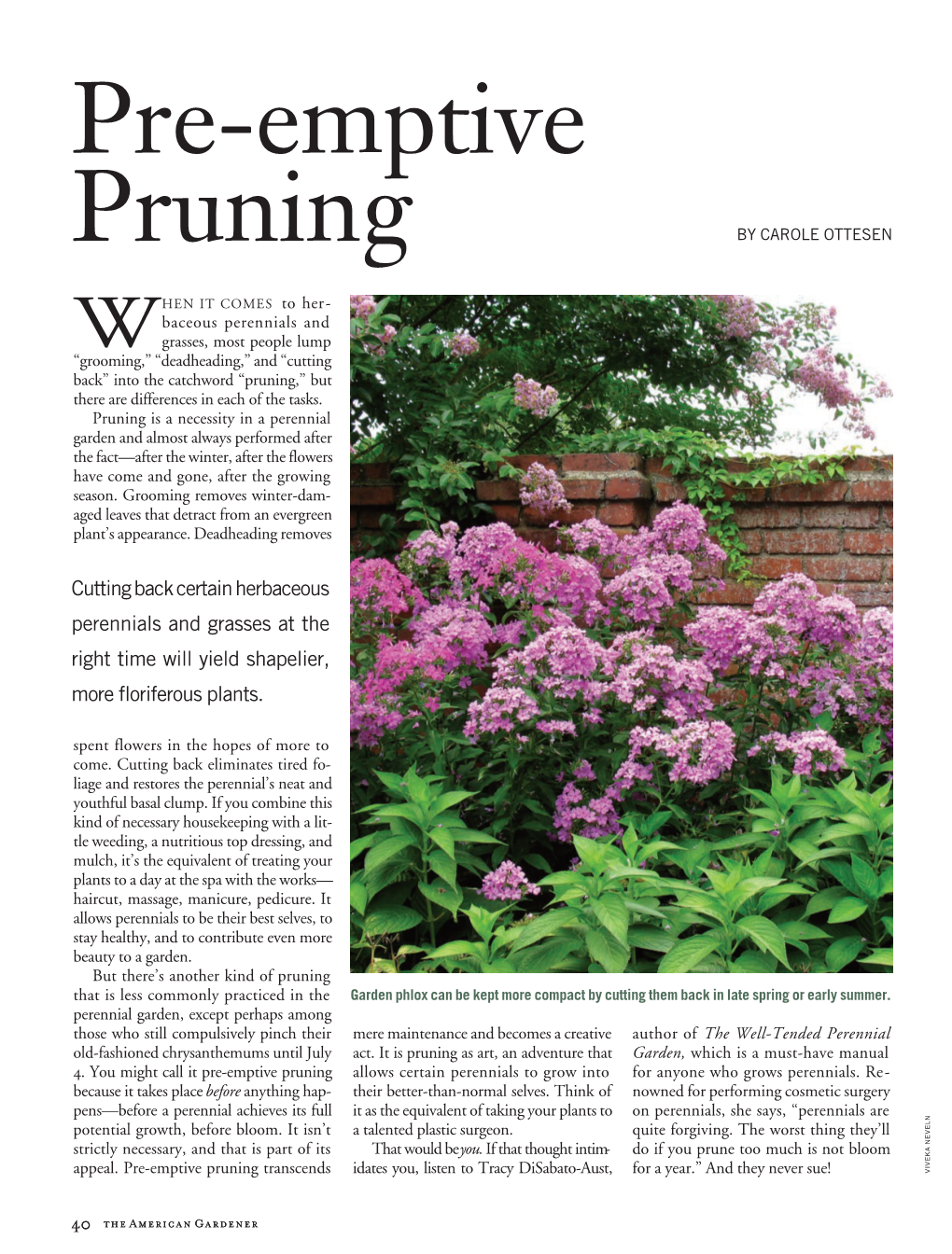 Pre-Emptive Pruning Allows Certain Perennials to Grow Into for Anyone Who Grows Perennials