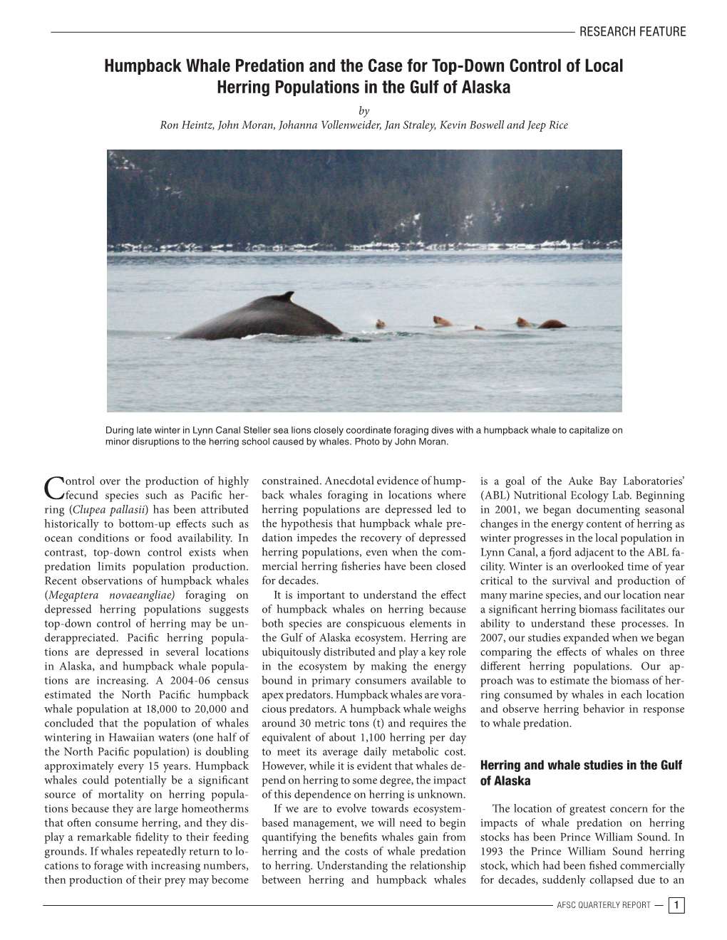 Humpback Whale Predation and the Case for Top-Down Control of Local