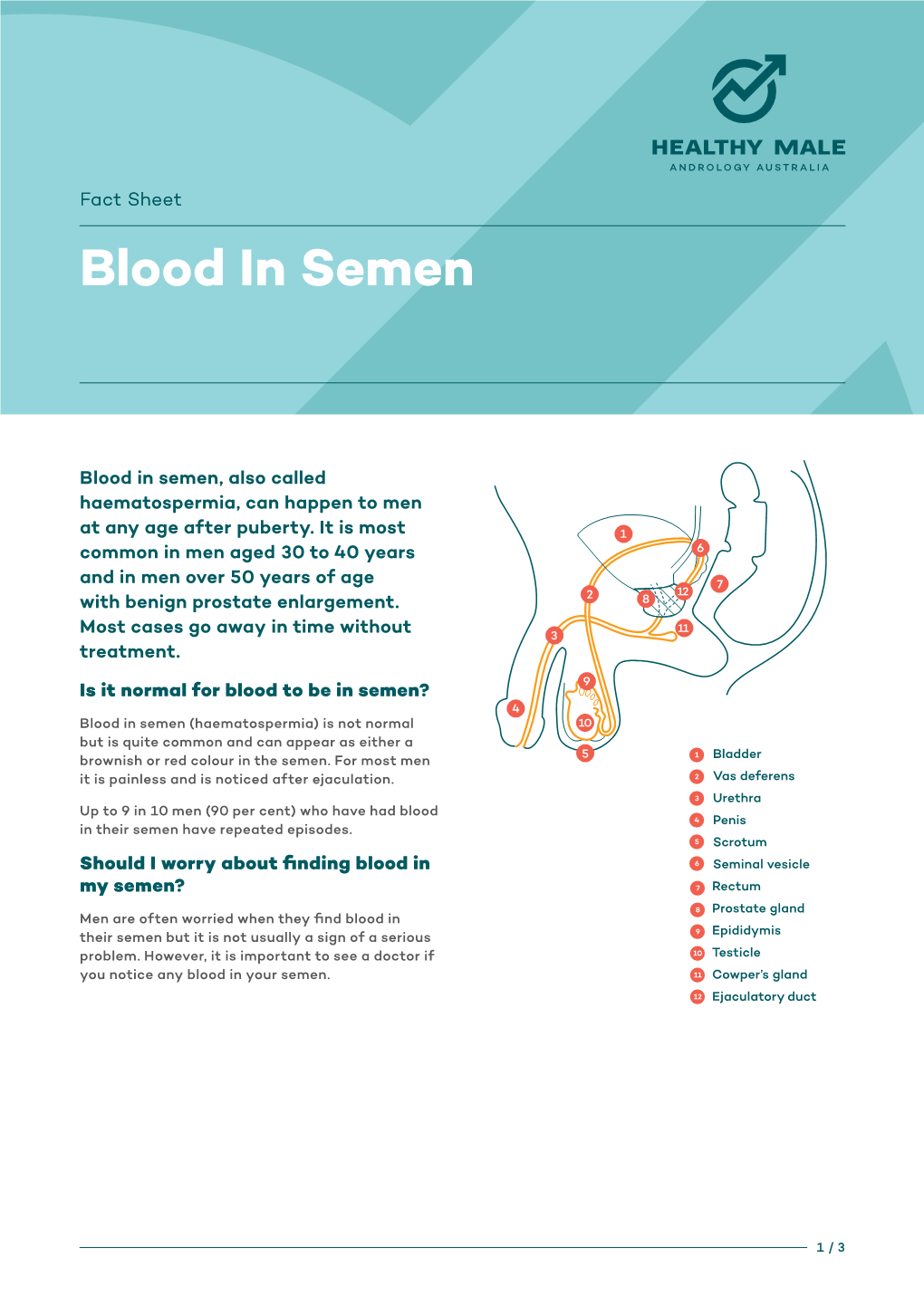 Blood in Semen