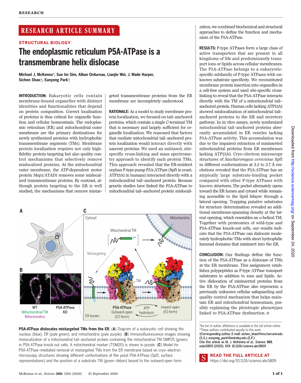 The Endoplasmic Reticulum P5A-Atpase Is a Transmembrane Helix Dislocase Michael J