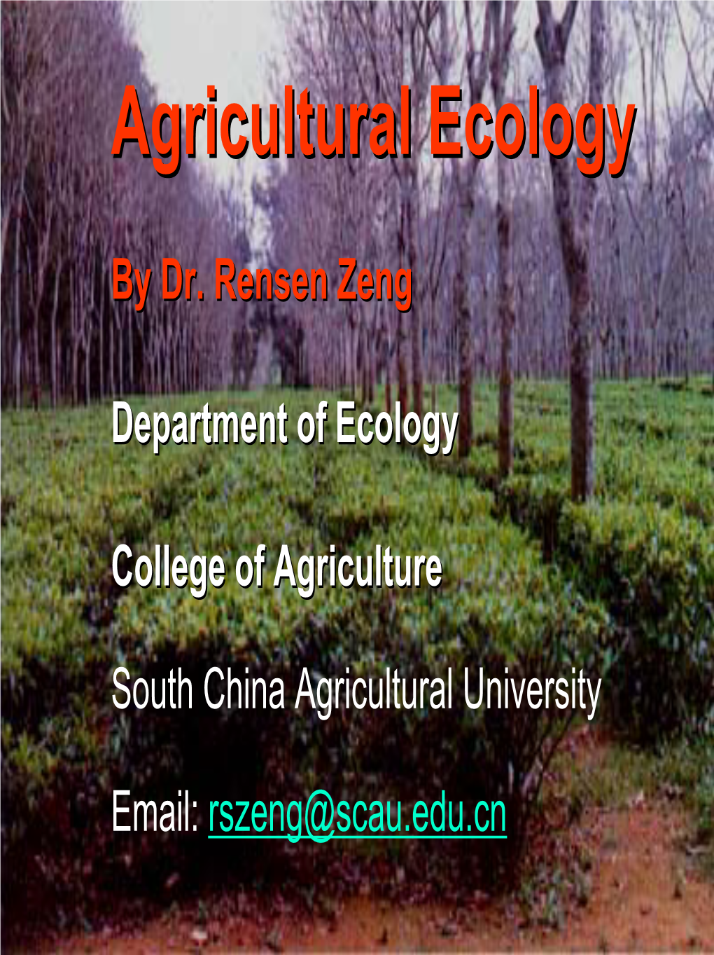 Ecological Successionsuccession Ecologicalecological Successionsuccession