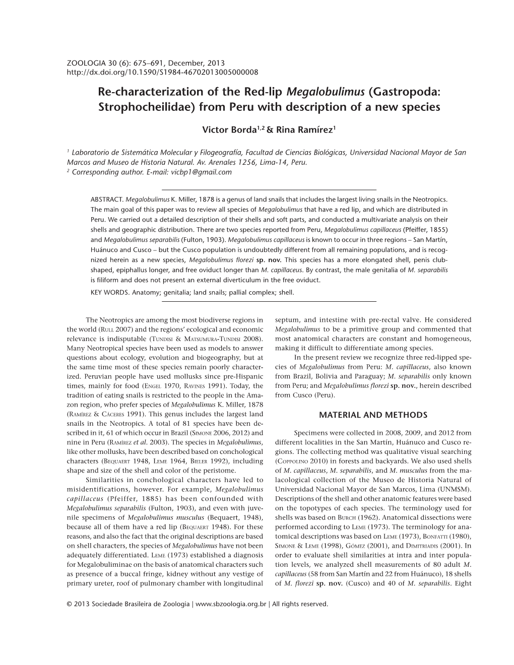 Re-Characterization of the Red-Lip Megalobulimus (Gastropoda: Strophocheilidae) from Peru with Description of a New Species