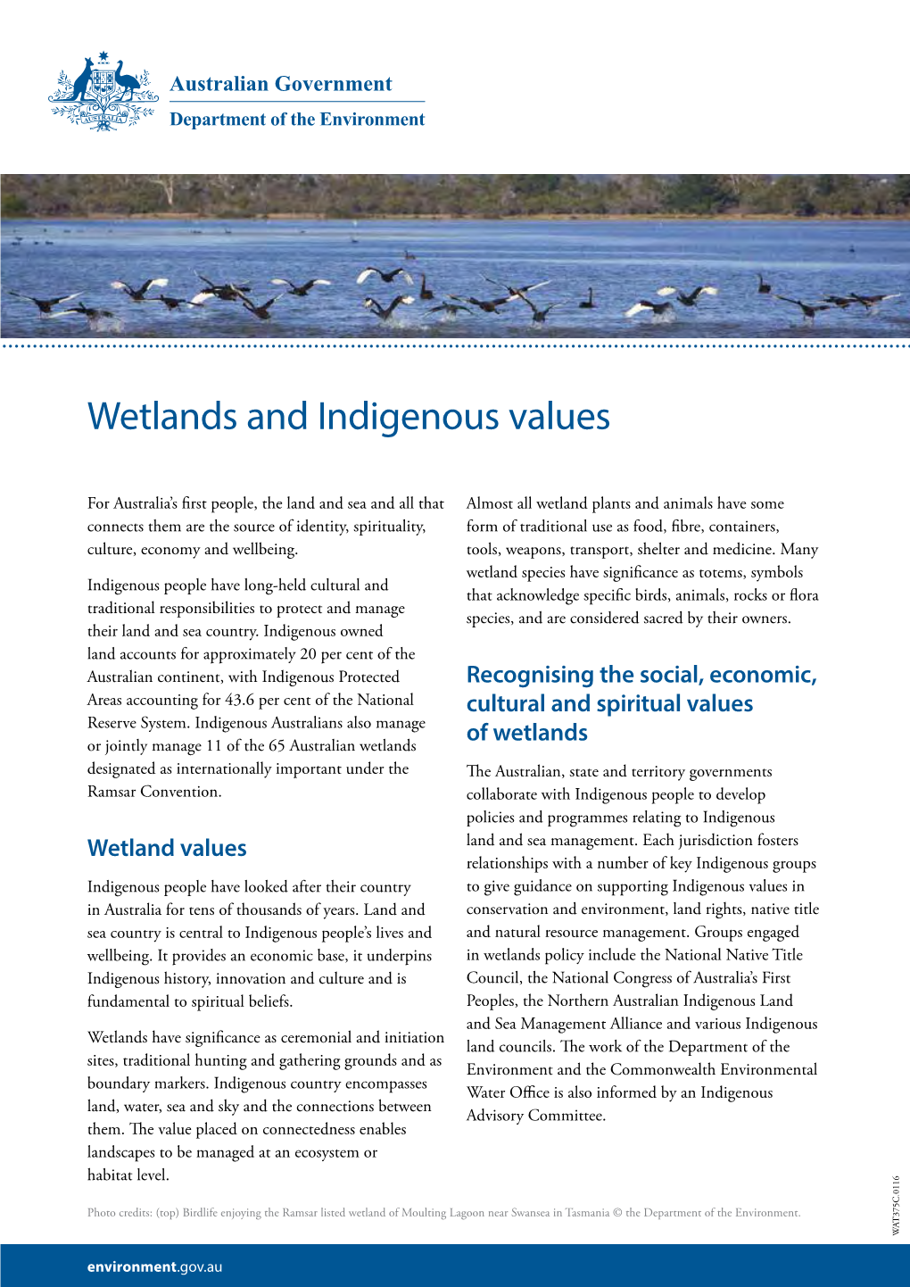 Wetlands and Indigenous Values