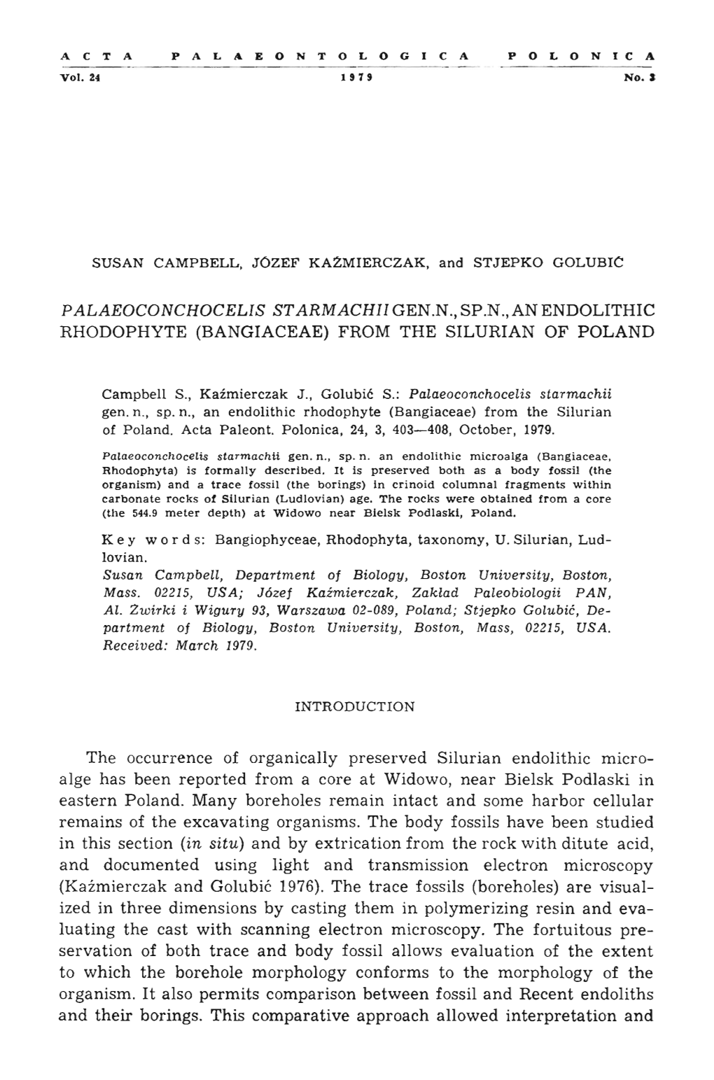 Rhodophyte (Bangiaceae) from the Silurian of Poland