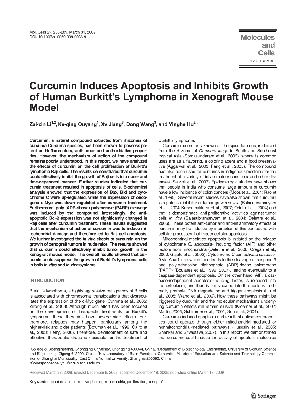 Curcumin Induces Apoptosis and Inhibits Growth of Human Burkitt's