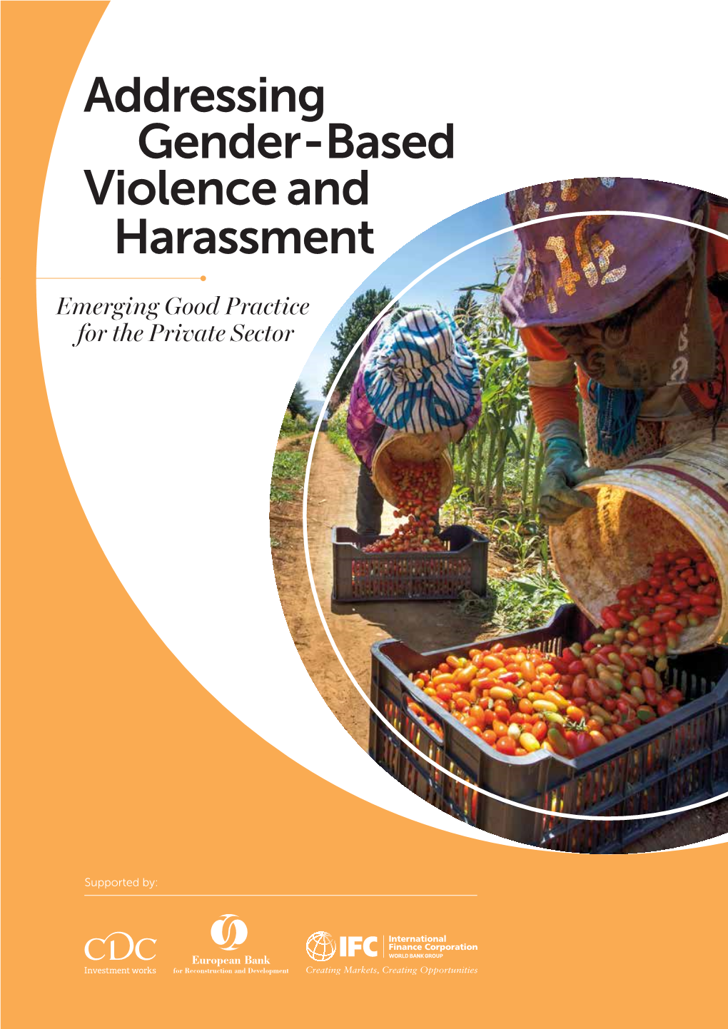 Addressing Gender-Based Violence and Harassment: Emerging Good Practice for the Private Sector