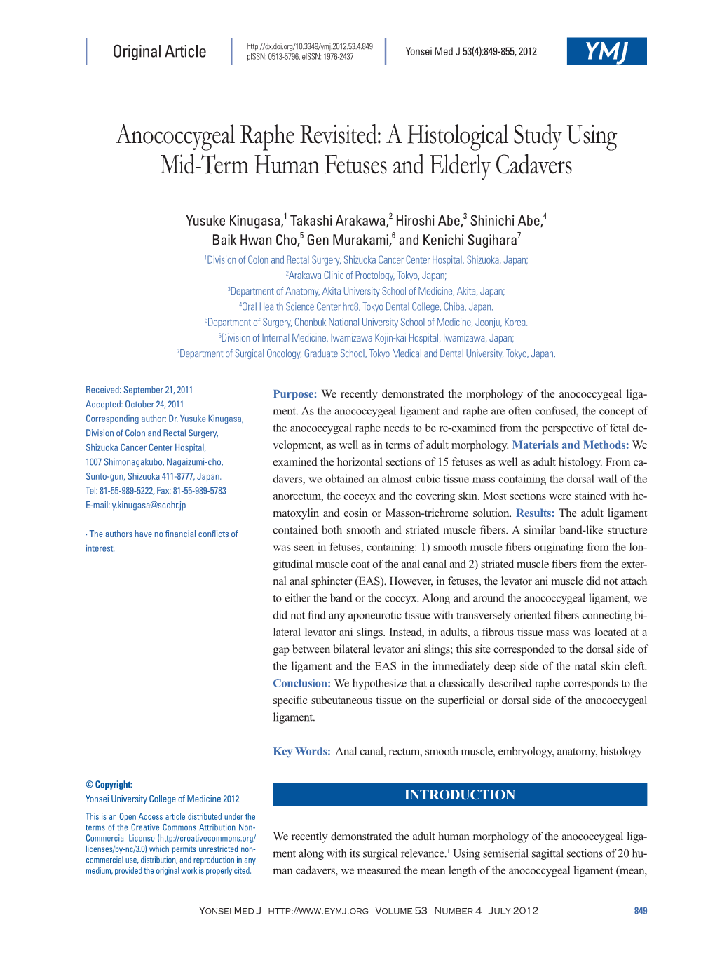 Anococcygeal Raphe Revisited: a Histological Study Using Mid-Term Human Fetuses and Elderly Cadavers