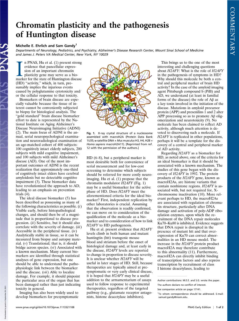 Chromatin Plasticity and the Pathogenesis of Huntington Disease