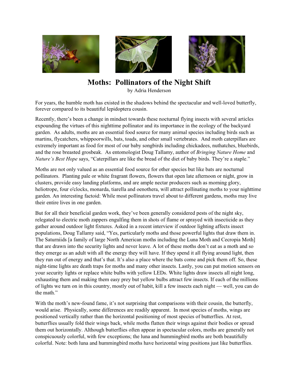 Moths: Pollinators of the Night Shift by Adria Henderson