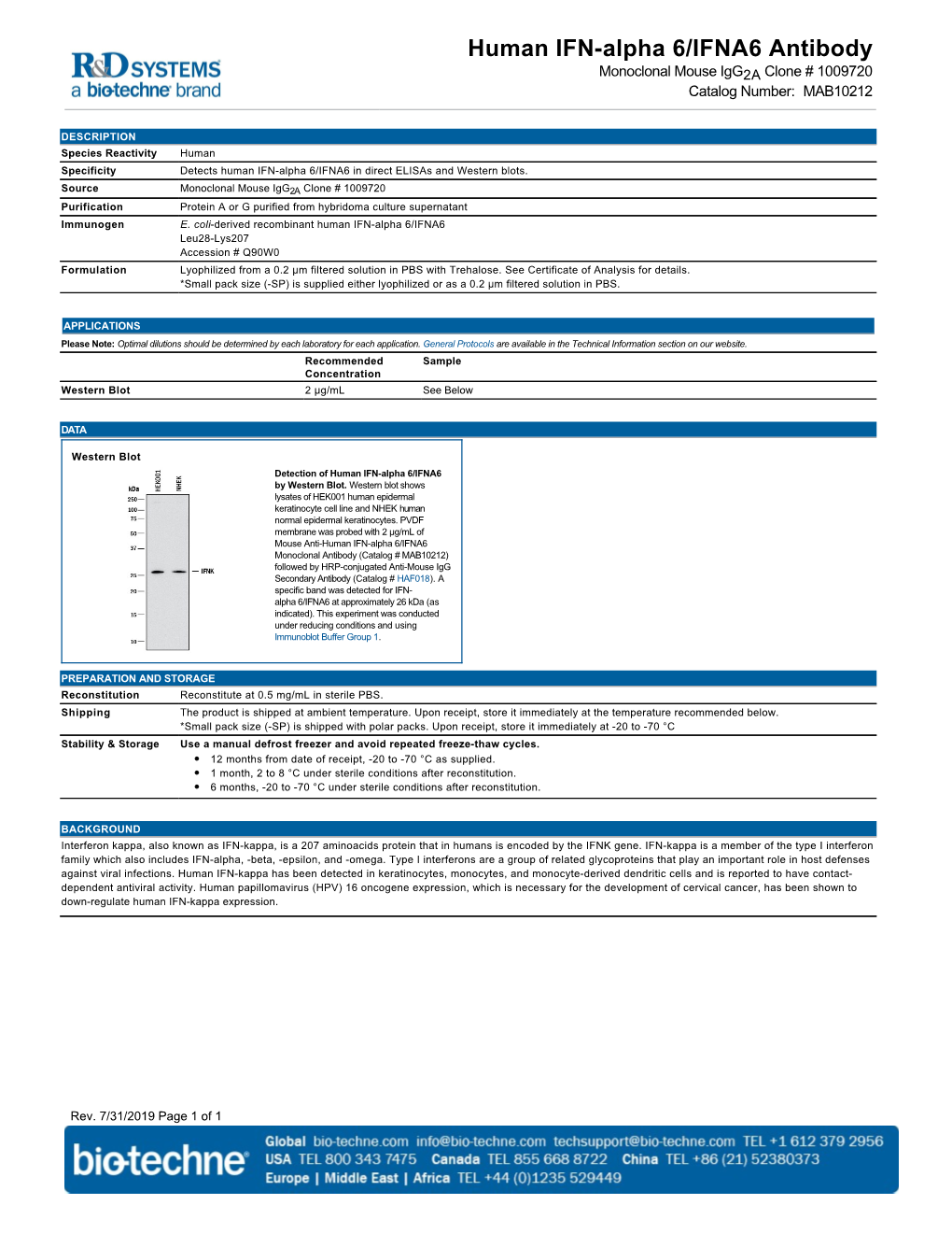 Human IFN-Alpha 6/IFNA6 Antibody