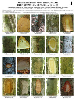 TREE STEMS of MARAMBAIA ISLAND 1 Nathan Borges Gonçalves1, Illa Guimarães Proença1, Pablo Hugo Alves De Figueiredo1, Marilena De Menezes Silva Conde2