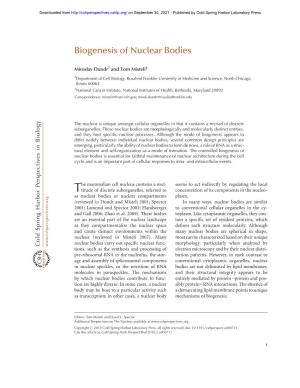 Biogenesis of Nuclear Bodies