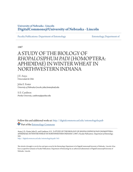 A Study of the Biology of Rhopalosiphum Padi (Homoptera: Aphididae) in Winter Wheat in Northwestern Indiana J