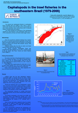 Cephalopods in the Trawl Fisheries in the Southeastern Brazil (1979-2000)