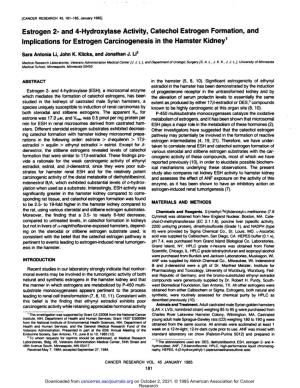Estrogen 2- and 4-Hydroxylase Activity, Catechol Estrogen Formation, and Implications for Estrogen Carcinogenesis in the Hamster Kidney1