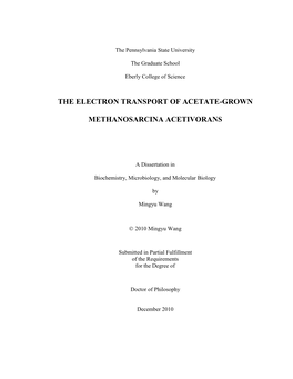 The Electron Transport of Acetate-Grown