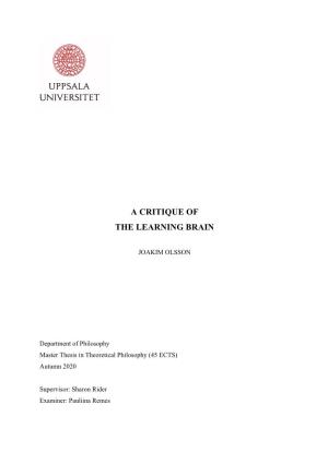 A Critique of the Learning Brain