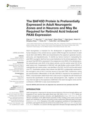 The BAF45D Protein Is Preferentially Expressed in Adult Neurogenic Zones and in Neurons and May Be Required for Retinoid Acid Induced PAX6 Expression