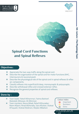 Spinal Cord Functions and Spinal Reflexes