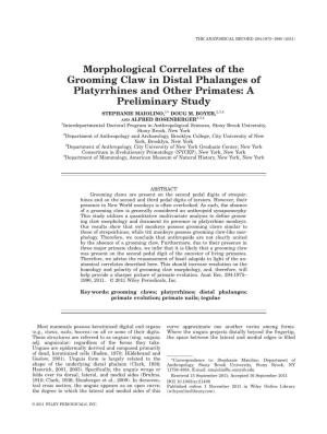 Morphological Correlates of the Grooming Claw in Distal Phalanges of Platyrrhines and Other Primates: a Preliminary Study