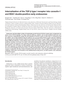 Internalization of the TGF-Β Type I Receptor Into Caveolin-1 and EEA1 Double-Positive Early Endosomes