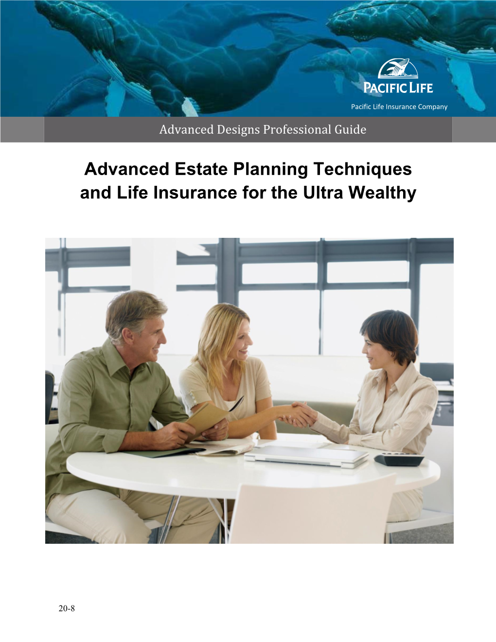 Advanced Estate Planning Techniques and Life Insurance for the Ultra Wealthy