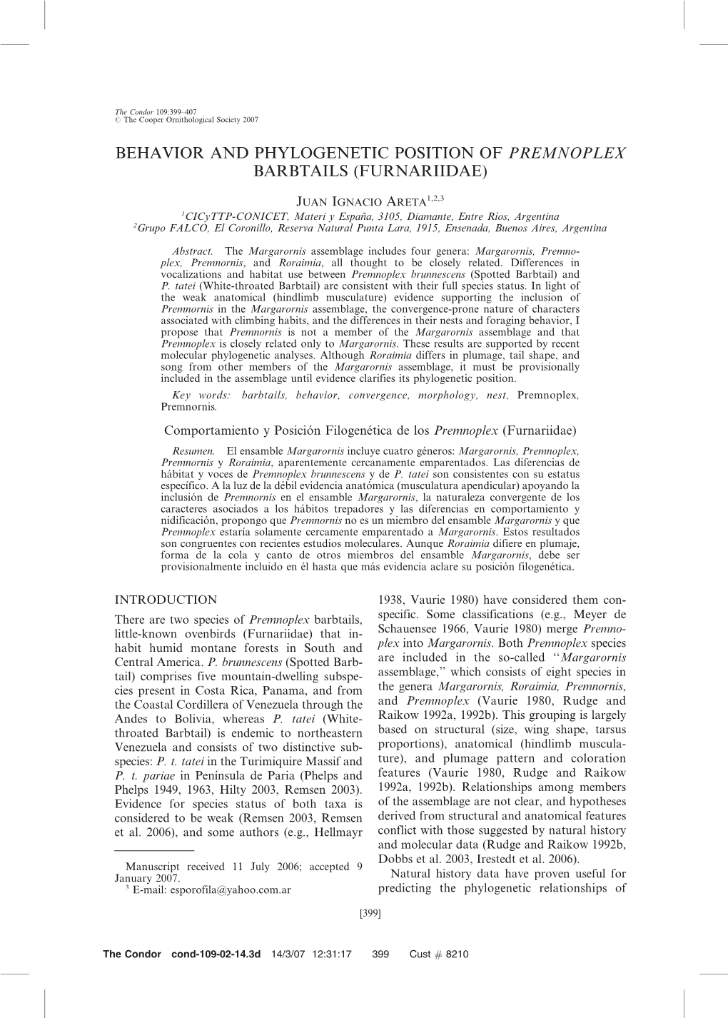 Behavior and Phylogenetic Position of Premnoplex Barbtails (Furnariidae)