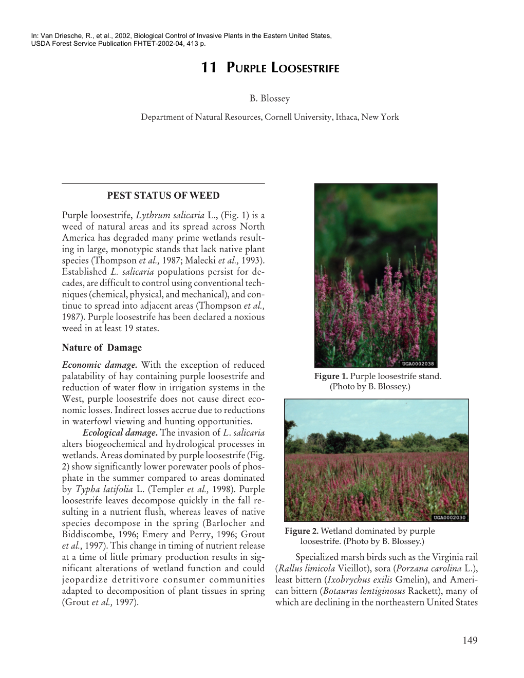 11 PURPLE LOOSESTRIFE PEST STATUS of WEED Nature Of