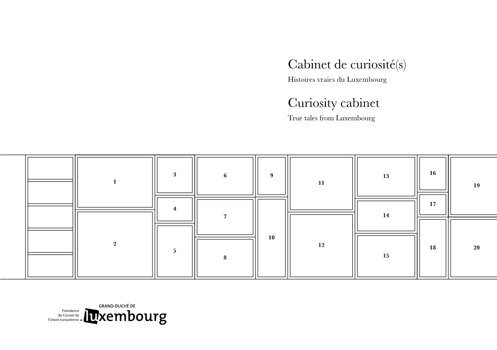 Cabinet De Curiosité(S) Curiosity Cabinet