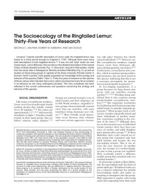 The Socioecology of the Ringtailed Lemur: Thirty-Five Years of Research
