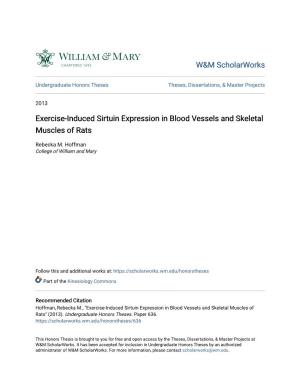 Exercise-Induced Sirtuin Expression in Blood Vessels and Skeletal Muscles of Rats