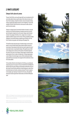 The Fresh Kills Park Draft Master Plan What Is Lifescape 7 2.2 Summary of the Draft Master Plan