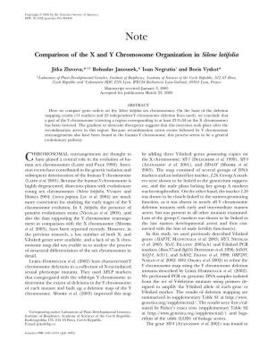 Comparison of the X and Y Chromosome Organization in Silene Latifolia