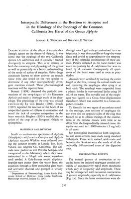 Interspecific Differences in the Reaction to Atropine and in the Histology of the Esophagi of the Common California Sea Hares of the Genus Aplysia