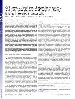 Cell Growth, Global Phosphotyrosine Elevation, and C-Met Phosphorylation Through Src Family Kinases in Colorectal Cancer Cells