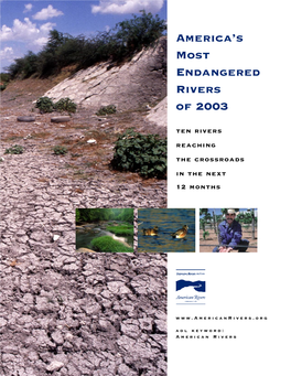 America's Most Endangered Rivers of 2003
