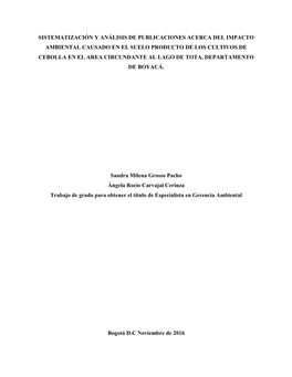 Sistematización Y Análisis De Publicaciones Acerca Del