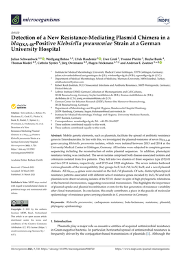 Detection of a New Resistance-Mediating Plasmid Chimera in a Blaoxa-48-Positive Klebsiella Pneumoniae Strain at a German University Hospital