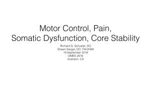 Motor Control, Pain, Somatic Dysfunction, Core Stability Richard G