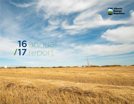 AER 2016/17 Annual Report