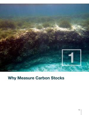 Why Measure Carbon Stocks