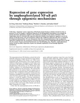 Repression of Gene Expression by Unphosphorylated NF- B P65