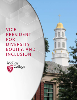 Vice President for Diversity, Equity, and Inclusion