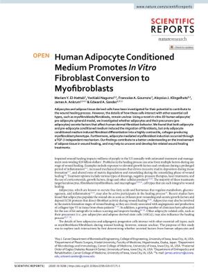 Human Adipocyte Conditioned Medium Promotes in Vitro Fibroblast Conversion to Myofibroblasts