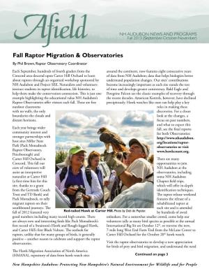 Fall Raptor Migration & Observatories