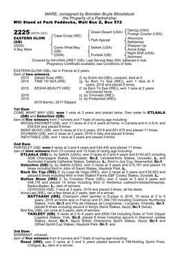 MARE, Consigned by Brendan Boyle Bloodstock the Property of a Partnership Will Stand at Park Paddocks, Wall Box Z, Box 572