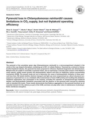 Chlamydomonas Reinhardtii Causes Limitations in CO2 Supply, but Not Thylakoid Operating Efficiency