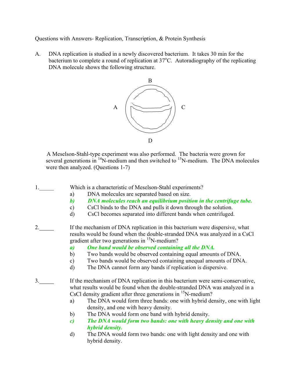 Questions with Answers- Replication, Transcription, & Protein Synthesis A