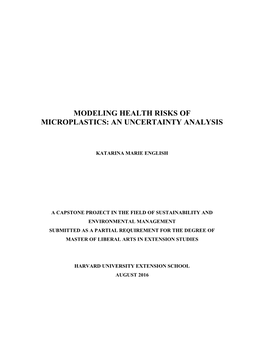 Modeling Health Risks of Microplastics: an Uncertainty Analysis